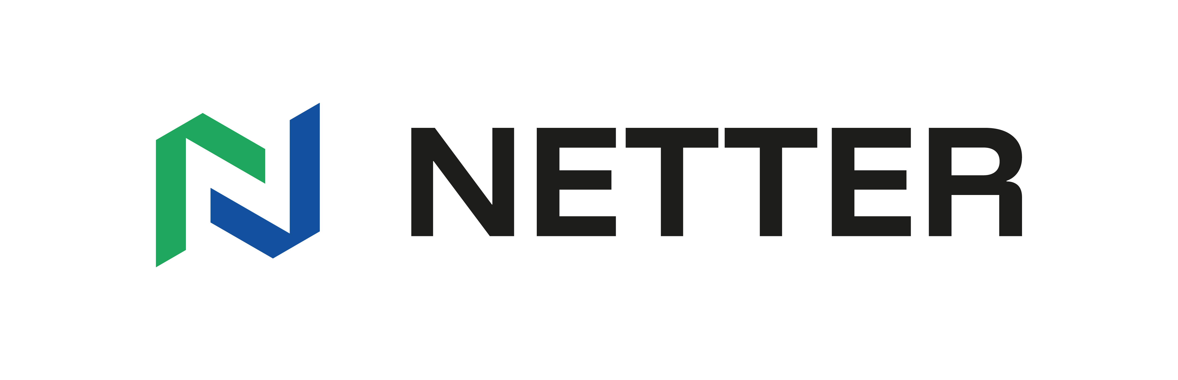 Netter Logo
